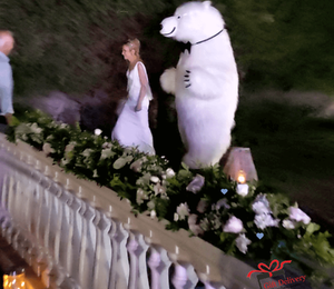 The White Polar Bear came to the wedding to deliver the gift to the bride and groom. Gift Delivery. Wedding gift. Polar bear surprise. White Polar Bear at the wedding.